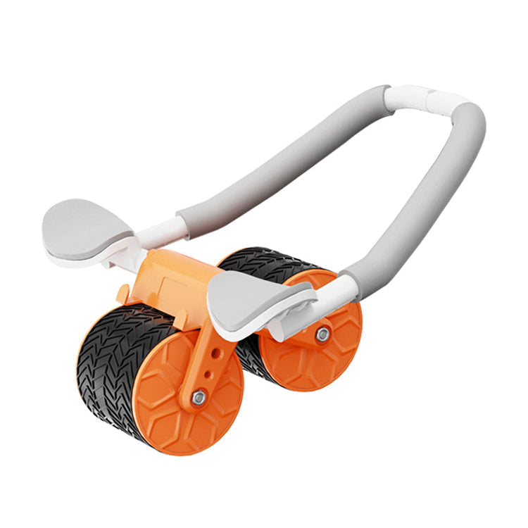 Fitness Abs Wheel Roller