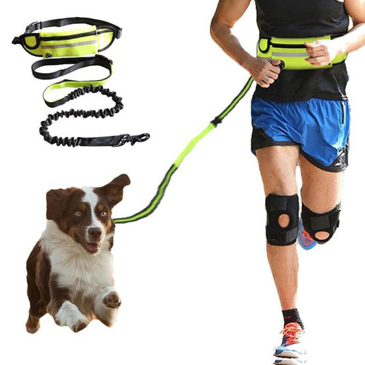 Hands-Free Dog Leash Belt with Bungee & Pockets